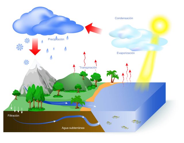 ¿Cómo es el ciclo del agua? Revista PEM