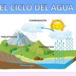 Ciencia y Medio Ambiente